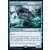 Grand requin vorace