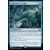 Typhon de requins