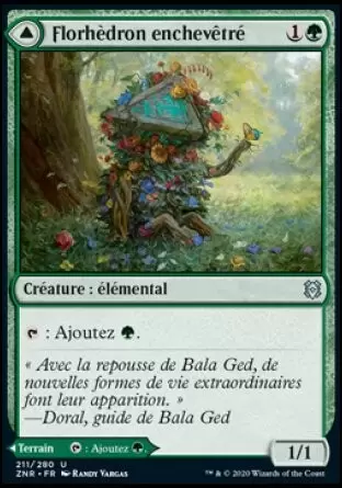 Renaissance de Zendikar - Florhèdron enchevêtré