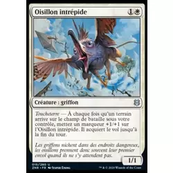 Oisillon intrépide
