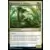 Racinovore de Murasa