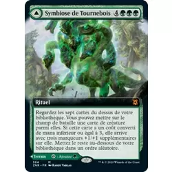Symbiose de Tournebois