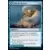 Renaissance de Zendikar - Voile de Beyeen