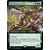 Ancien aux fleurs de Nyx