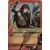 Cartes Naruto Série 05 - Un Nouveau Départ - Equipes d\'élite