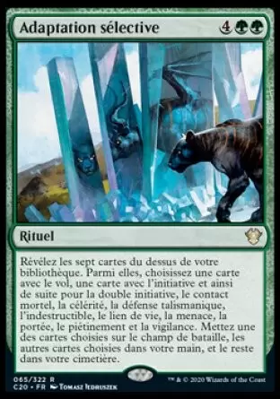 Commander 2020 - Adaptation sélective