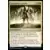 Ascendance abzane