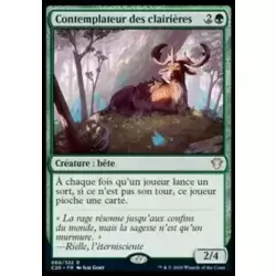Contemplateur des clairières