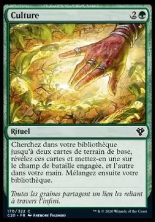 Commander 2020 - Culture