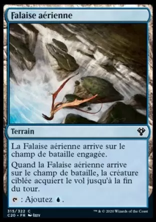 Commander 2020 - Falaise aérienne