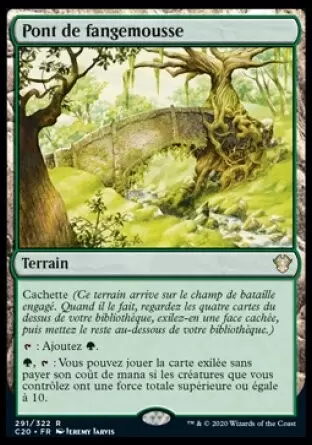 Commander 2020 - Pont de fangemousse