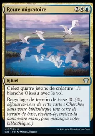 Commander 2020 - Route migratoire