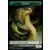 Serpent