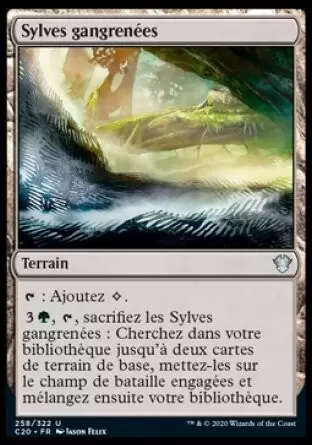 Commander 2020 - Sylves gangrénées