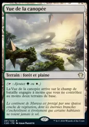 Commander 2020 - Vue de la canopée