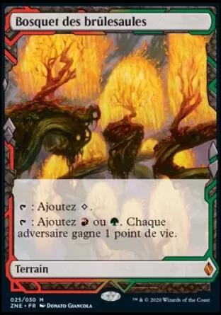 Zendikar Rising Expeditions - Bosquet des brûlesaules