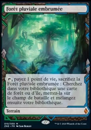 Zendikar Rising Expeditions - Forêt pluviale embrumée