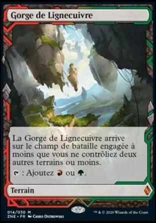 Zendikar Rising Expeditions - Gorge de Lignecuivre