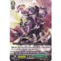 Black Lily Musketeer, Hermann