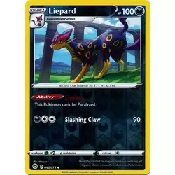 Liepard Reverse