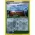 Champion\'s Path - Turffield Stadium Reverse