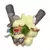 Pokemon Center - Whimsicott Pumpkin Party