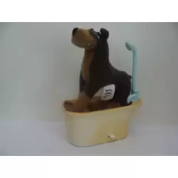 Chien dans sa baignoire roulante