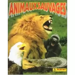 Album