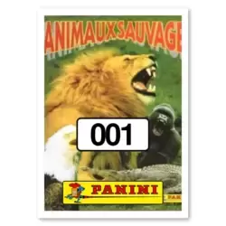 Image n°1