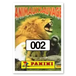 Image n°2