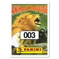 Image n°3