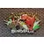 Disney - Pins Open Edition - Dinosaur