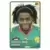 Africa Cup 2010 - Alexandre Song - Cameroun