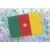 Africa Cup 2010 - Drapeau Cameroun