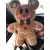 Mickey And Friends - Mickey Gingerbread Cookie Scented