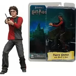 Harry Potter (Goblet Of Fire)