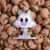 Chip The Wolf