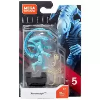 Blue Xenomorph