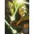 A Padawan’s Challenge
