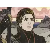 The Hopeful Princess