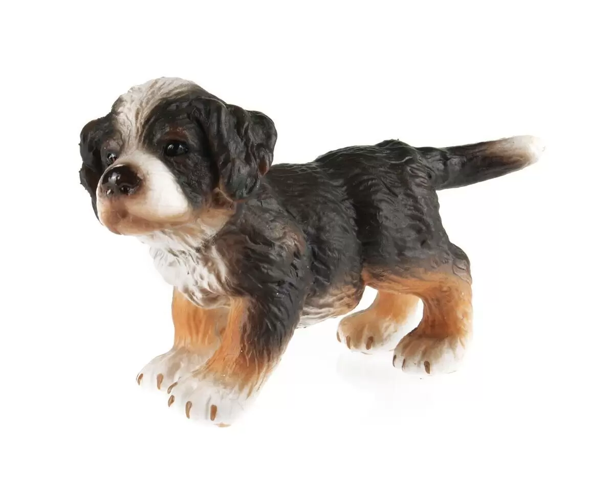 Farm World - Bernois chiot