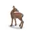 Wild Life - Chevrette
