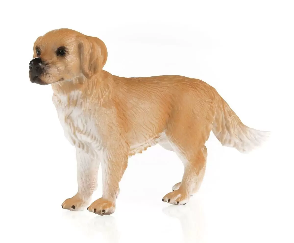 Farm World - Golden retriever