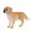 Farm World - Golden retriever