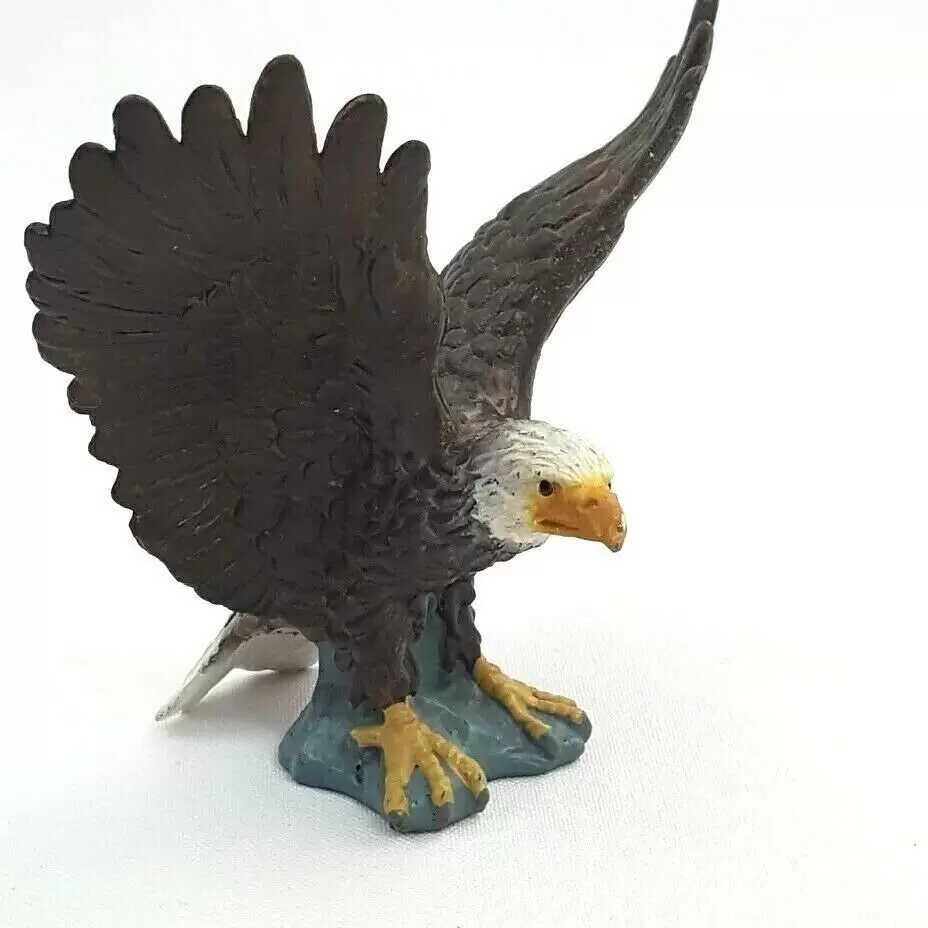 Wild Life - Aigle à tête blanche ailes ouvertes