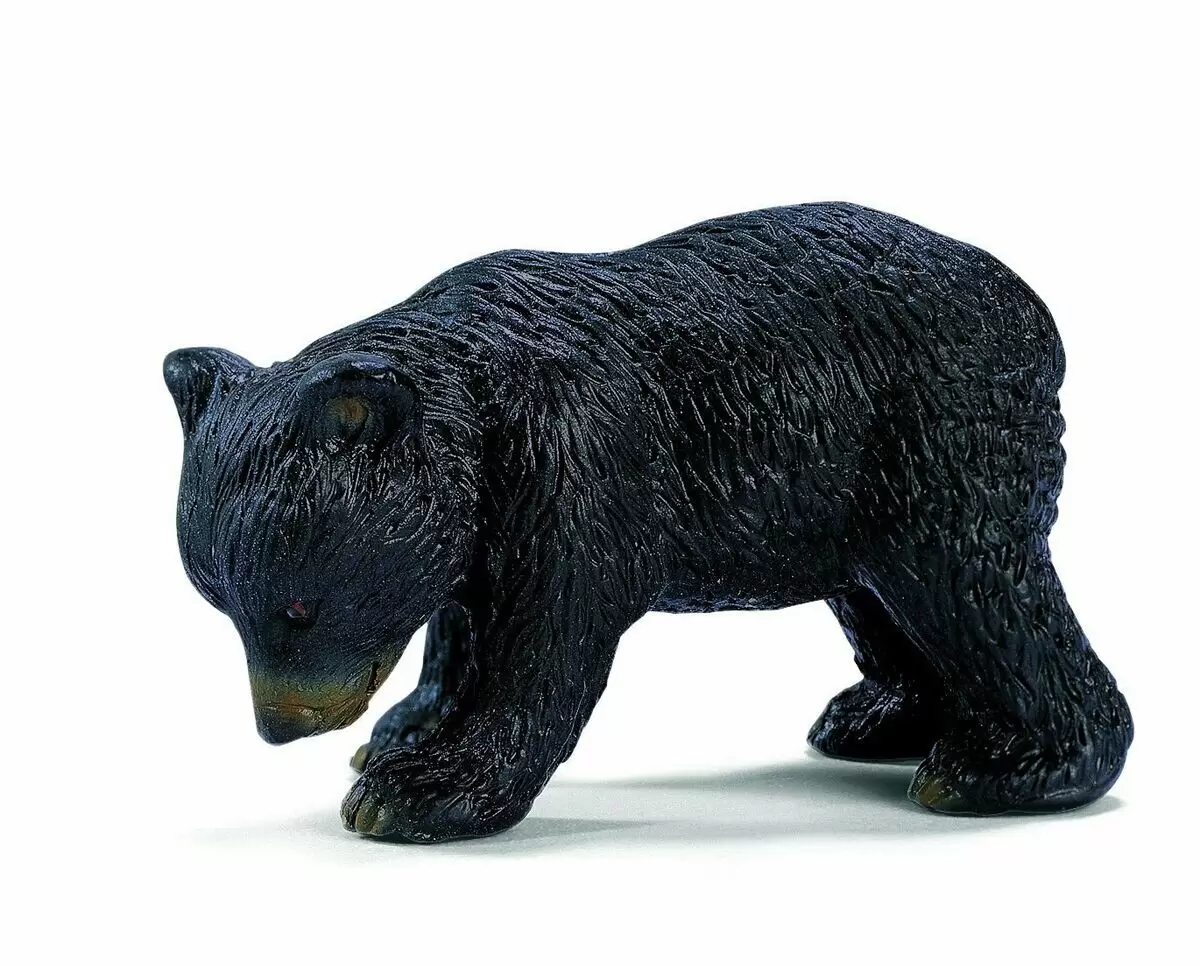 Wild Life - Bébé ours noir