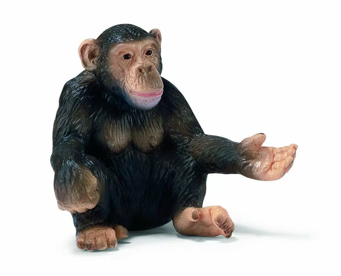 Wild Life - Chimpanzé femelle