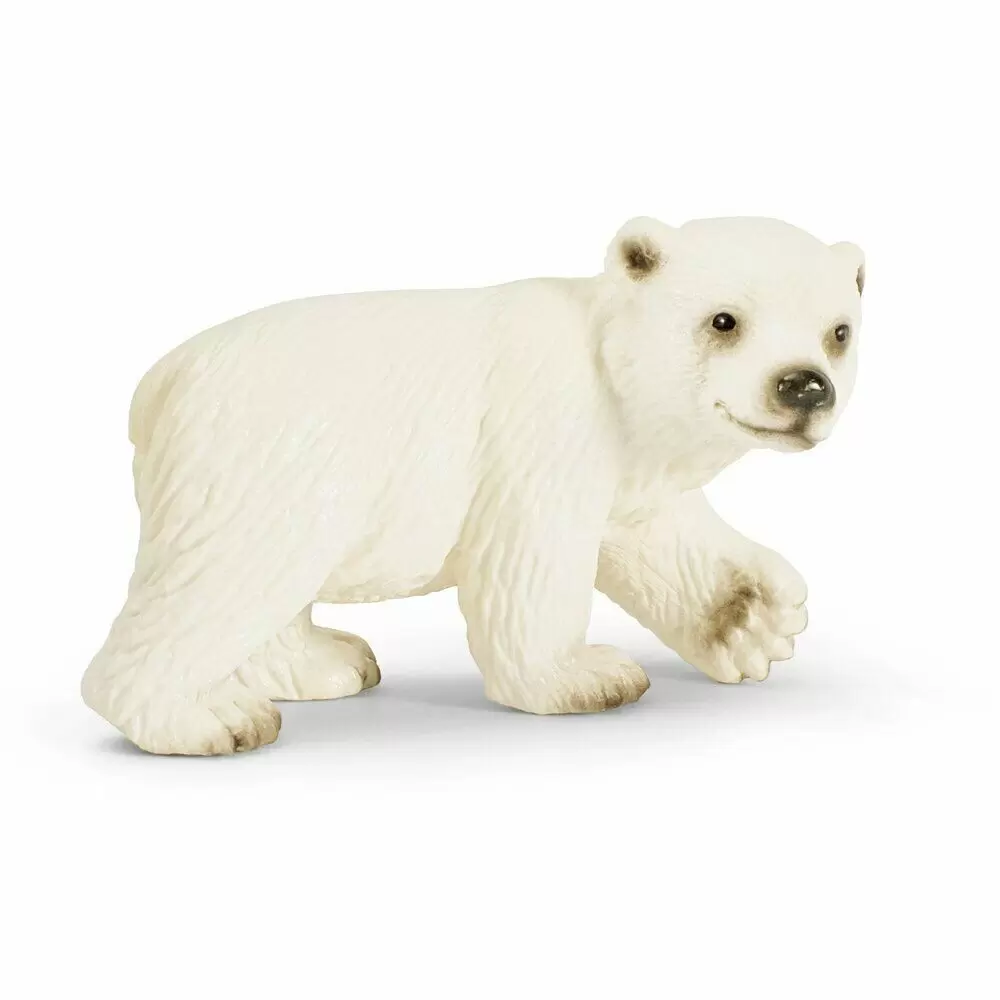 Wild Life - Ourson polaire