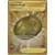 Vivid Voltage - Hero\'s Medal