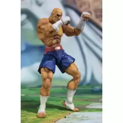 Street Fighter (No. 12)- Sagat Fighting Body